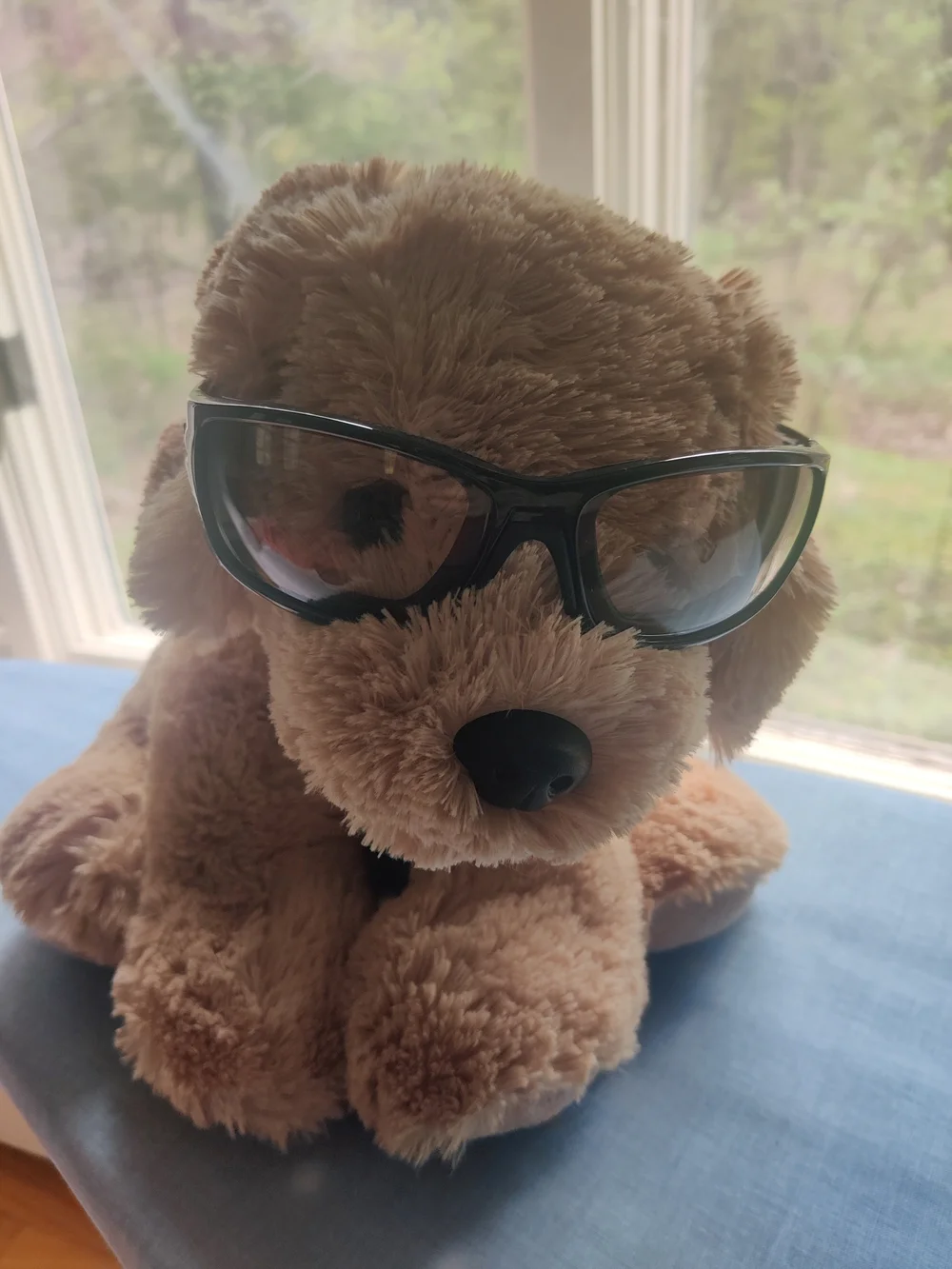 Protective Sports Glasses in Blue with Carrying Case